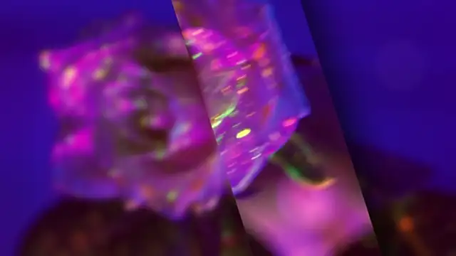 HeyBananas online show from 10-22-25, 05:56