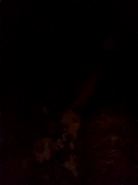 Snapshot of Hilkanna_ chatting on 03-08-26, 09:29 Hilkanna online show from 03-08-26, 09:29