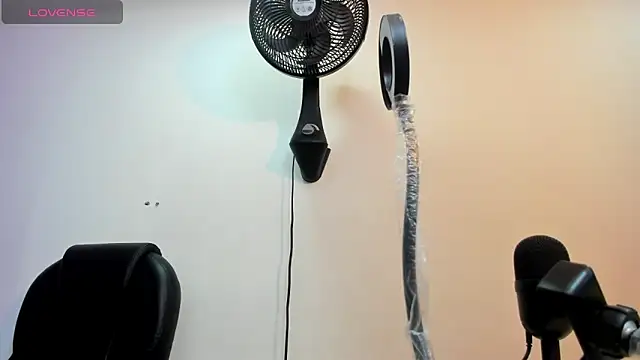 alice  tylor online show from 03-12-25, 11:42