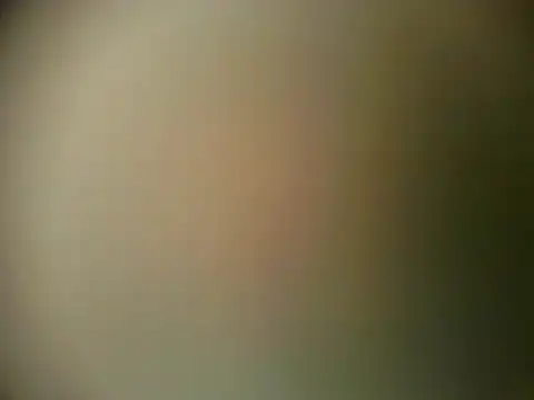 TheSweetBerry online show from 03-28-26, 12:16