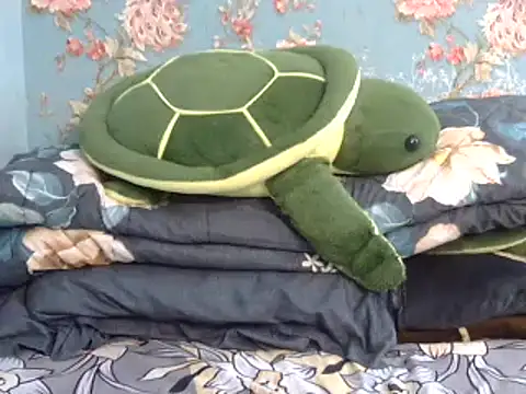 Tiny lusty online show from 03-11-25, 06:41