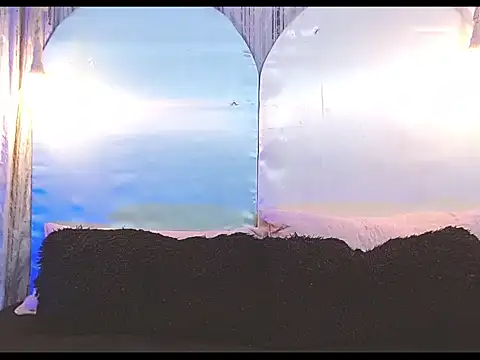 tylor boy online show from 01-09-26, 06:05