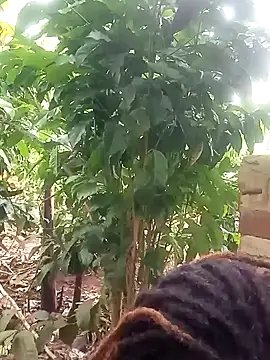 Black juicy24 online show from 01-26-25, 12:01