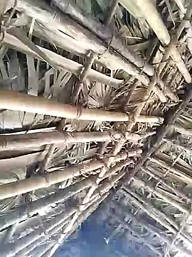 Mrveda66 online show from 02-09-26, 06:17