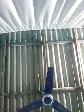 Snapshot of hotbaby_5 chatting on 11-20-25, 02:50 hotbaby 5 online show from 11-20-25, 02:50