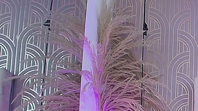 LeylaRangel online show from 10-25-25, 03:47