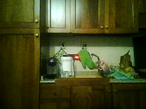 Snapshot of gianbragallini chatting on 09-09-25, 10:42 gianbragallini online show from 09-09-25, 10:42