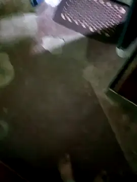 Snapshot of InboardHasek chatting on 12-05-24, 01:28 InboardHasek online show from 12-05-24, 01:28