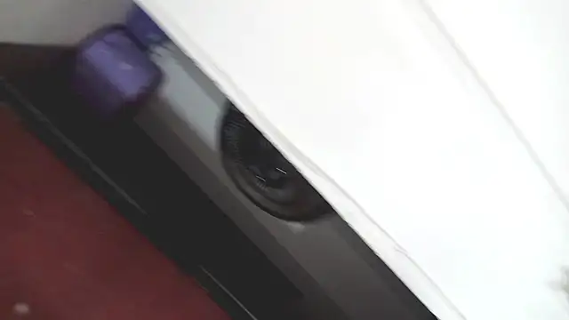 PetiteIvoryQueen19 online show from 03-07-25, 03:40