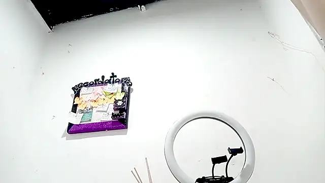 PetiteIvoryQueen19 online show from 11-05-25, 03:28