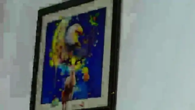 Sexy Alejandro  online show from 06-16-26, 12:57