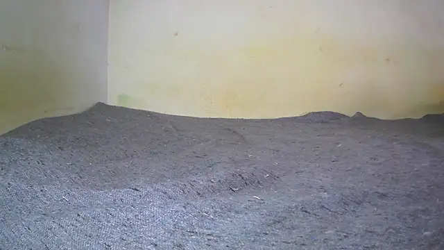 fern tlk online show from 02-01-25, 05:28