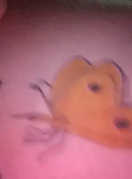 Nadia-2 online show from 01-24-25, 12:20