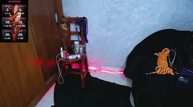 mysteery katty  online show from 12-16-24, 09:31