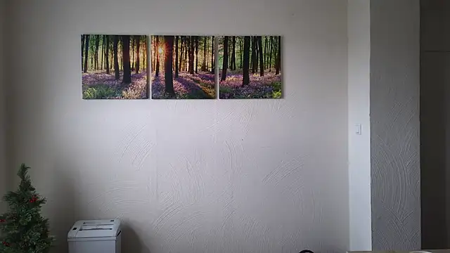 Harry Boldt online show from 12-30-24, 10:10