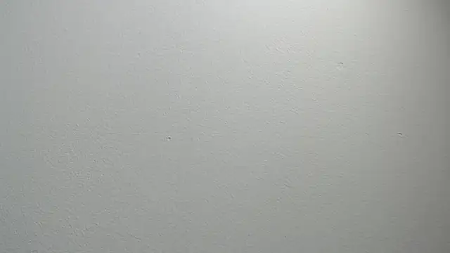 sussy leon online show from 02-11-25, 12:16