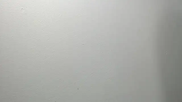 sussy leon online show from 03-04-25, 12:22