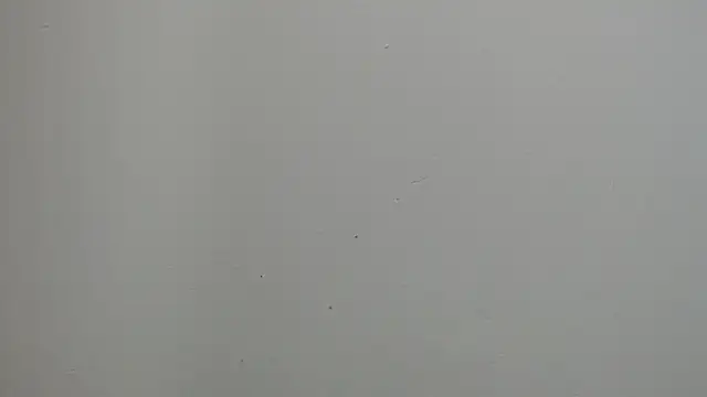 sussy leon online show from 03-18-25, 12:25