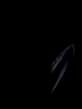 Inkognito0495 online show from 10-29-25, 05:31