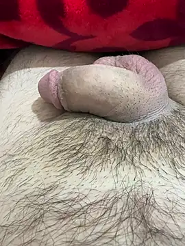 Snapshot of TheArabicGuyx chatting on 02-25-26, 07:45 TheArabicGuyx online show from 02-25-26, 07:45