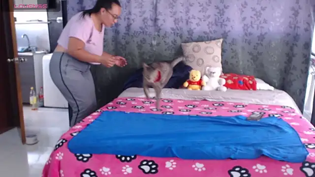 miia-big1boobs  online show from 04-22-26, 05:58