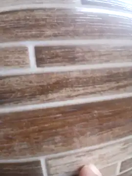 Snapshot of Pr3To021 chatting on 03-20-25, 06:31 Pr3To021 online show from 03-20-25, 06:31