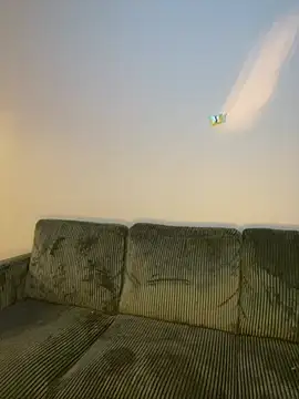 RainFallzxxz online show from 01-26-25, 10:24