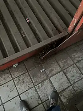 Snapshot of A-mira chatting on 03-21-25, 09:56 A-mira online show from 03-21-25, 09:56