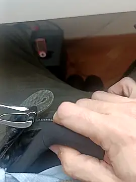 the lion 69 online show from 02-05-26, 09:58