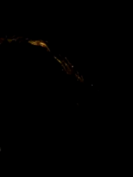 pleasure of life online show from 04-19-26, 06:10