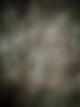 Snapshot of INDIANBOY7439 chatting on 03-05-26, 10:33 INDIANBOY7439 online show from 03-05-26, 10:33