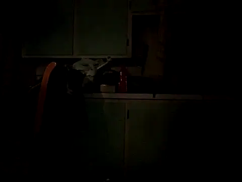 Frankdick01 online show from 10-04-25, 05:05