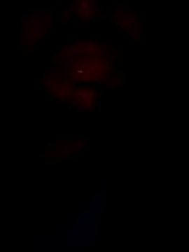 mohitsexy12 online show from 12-08-24, 05:33