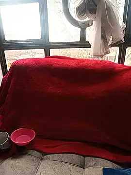 Snapshot of Tefannyy_ chatting on 06-17-26, 02:07 Tefannyy online show from 06-17-26, 02:07