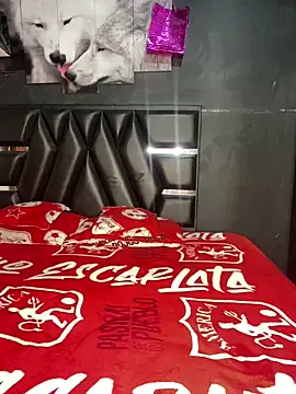 Snapshot of The__Rodriguez chatting on 02-20-25, 01:03 The Rodriguez online show from 02-20-25, 01:03