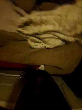 Snapshot of the666D chatting on 03-29-26, 03:06 the666D online show from 03-29-26, 03:06