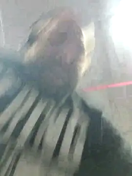 Snapshot of Strong_Bear89 chatting on 12-02-24, 03:04 Strong Bear89 online show from 12-02-24, 03:04