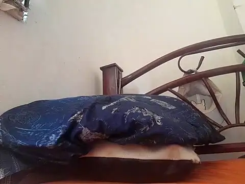 Snapshot of _afrodita_sex chatting on 02-10-25, 07:49 afrodita sex online show from 02-10-25, 07:49