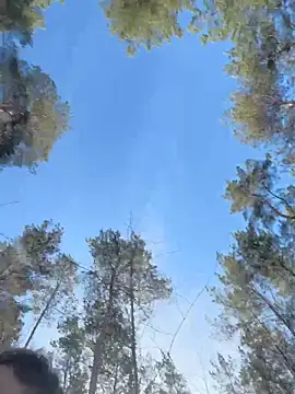 janberlin online show from 03-13-26, 09:38