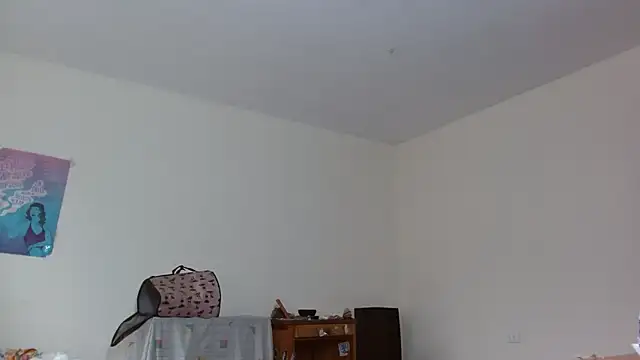 Snapshot of Party_trans chatting on 03-22-25, 04:04 Party trans online show from 03-22-25, 04:04