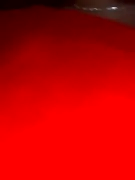 sara pineros online show from 12-28-24, 12:04