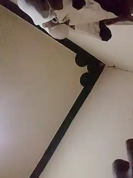 Danny lady online show from 12-16-25, 11:21