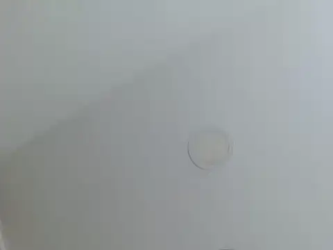 milfevha online show from 02-26-26, 02:38