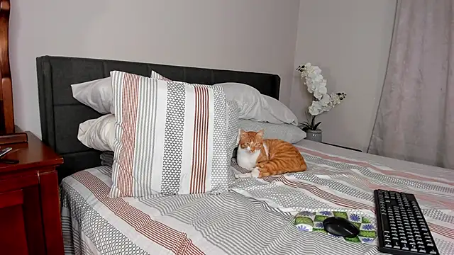 Snapshot of Angel_1997 chatting on 02-18-25, 11:30 Angel 1997 online show from 02-18-25, 11:30