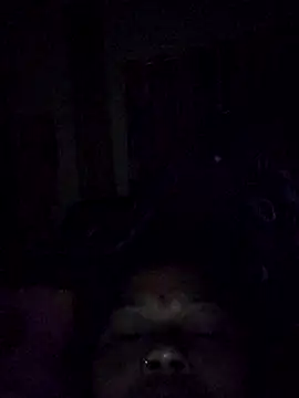 Bangarupapa online show from 02-26-26, 12:31