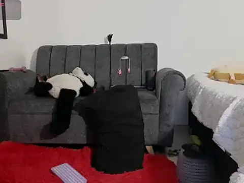 Katt BDSM online show from 02-13-25, 03:14