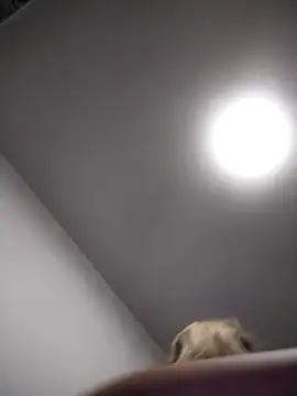 AudreySosa online show from 03-13-25, 08:04