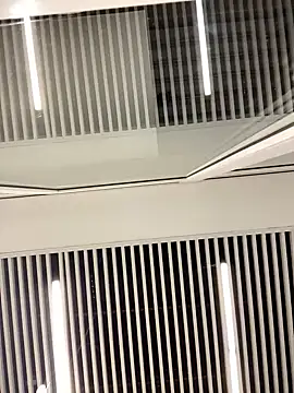 Snapshot of SuzieMurray chatting on 02-12-25, 08:27 SuzieMurray online show from 02-12-25, 08:27