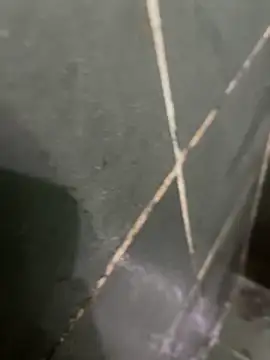 gzn01 online show from 10-28-25, 04:49