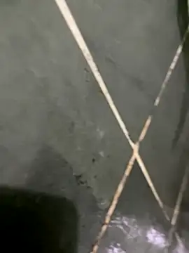 gzn01 online show from 10-30-25, 07:03